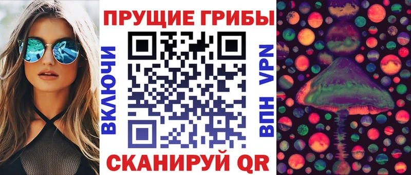 Псилоцибиновые грибы Magic Shrooms  omg как зайти  Дзержинск  дарк нет формула  купить наркоту 