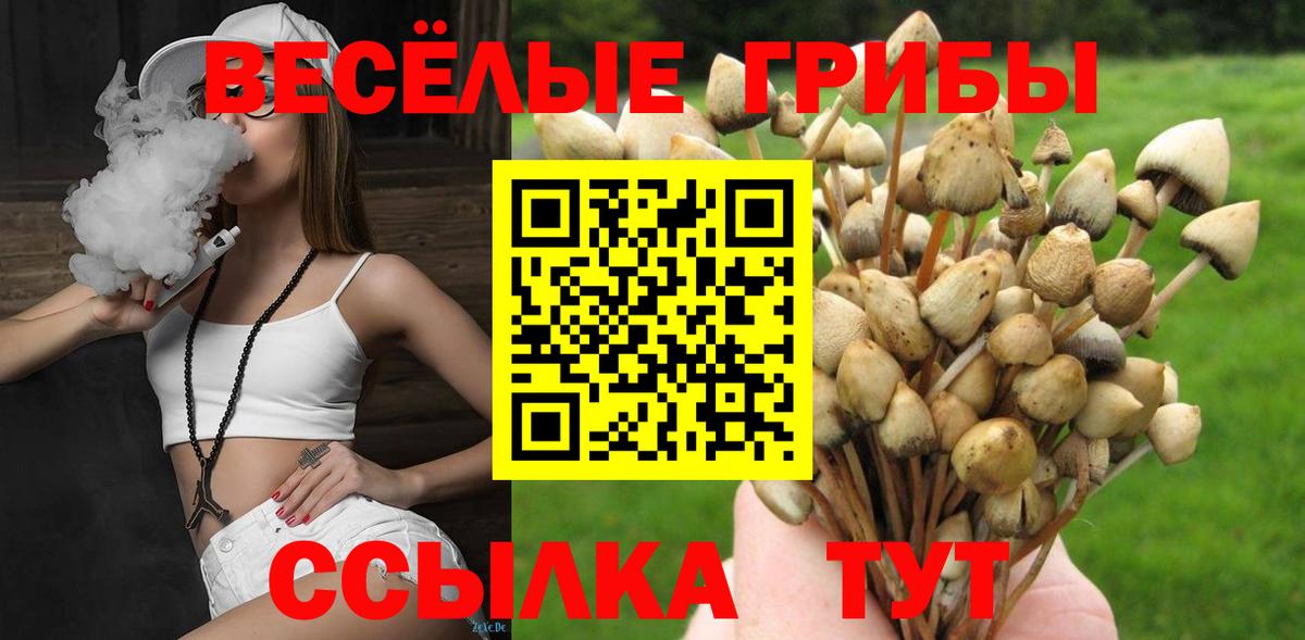 Галлюциногенные грибы Psilocybe  Вход с VPN  Псилоцибиновые грибы GOLDEN TEACHER  закладка  Дзержинск 