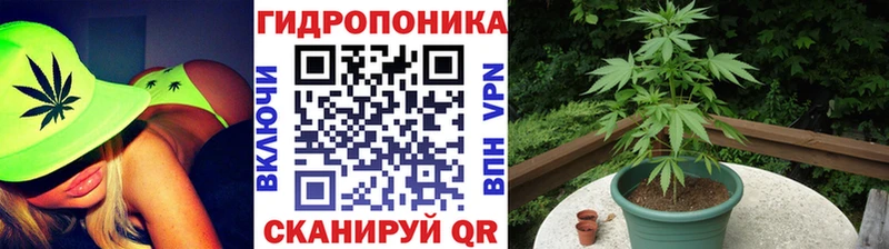 магазин продажи   ОМГ ОМГ tor  Каннабис Amnesia  Дзержинск 