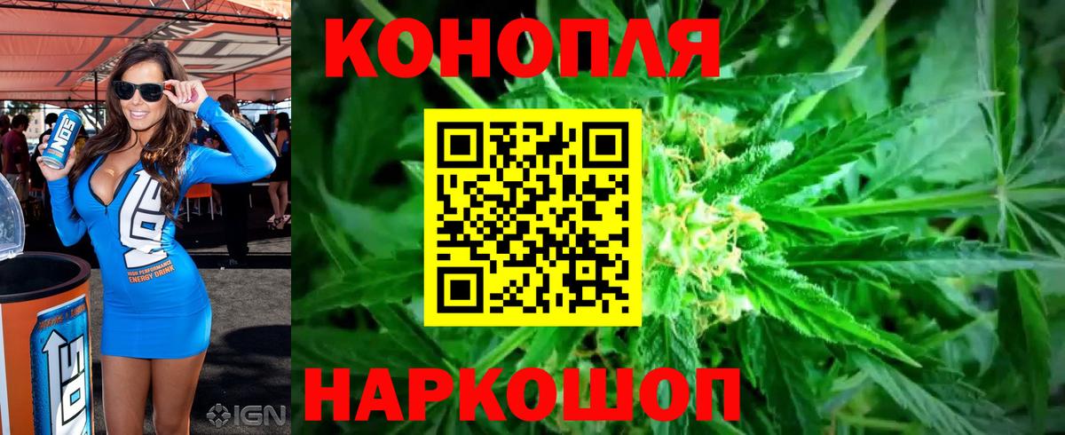 Канабис планчик  Бошки марихуана ГИДРОПОН  Дзержинск  Вход с VPN 
